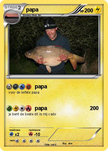 Pokemon papa