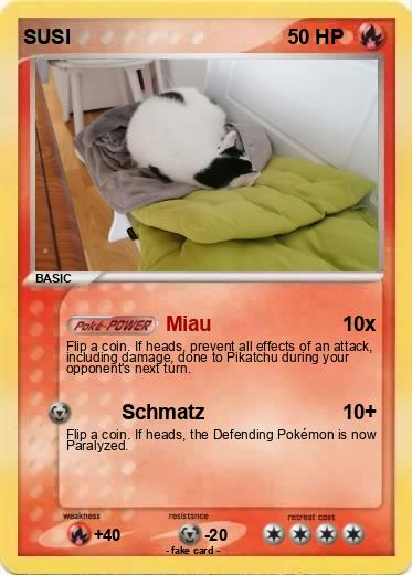 Pokemon SUSI