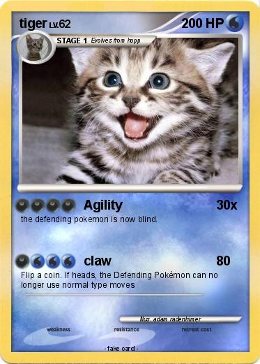 Pokemon tiger