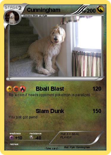 Pokemon Cunningham