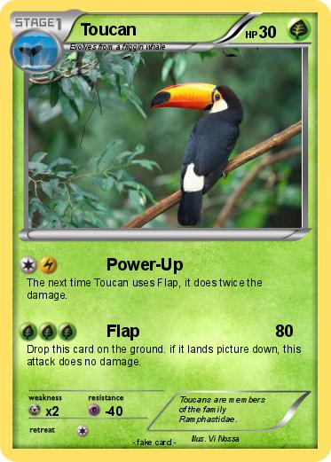 Pokemon Toucan