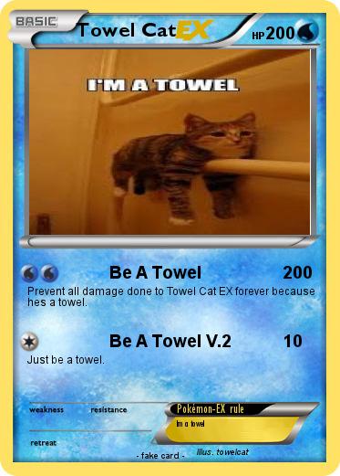 Pokemon Towel Cat