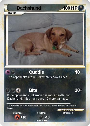 Pokemon Dachshund