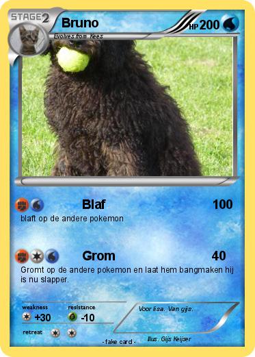 Pokemon Bruno