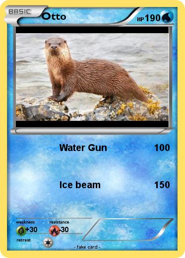 Pokemon Otto