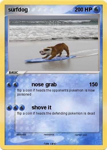 Pokemon surfdog