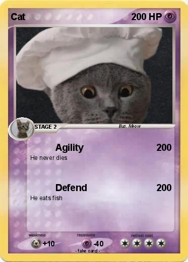 Pokemon Cat
