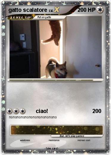Pokemon gatto scalatore