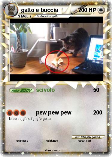 Pokemon gatto e buccia