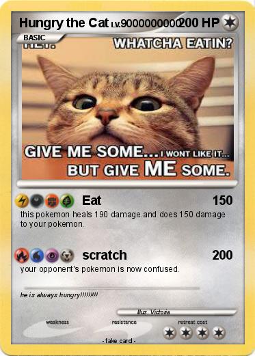 Pokemon Hungry the Cat