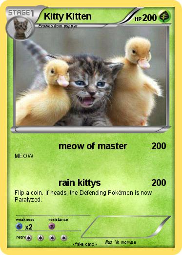Pokemon Kitty Kitten
