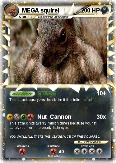 Pokemon MEGA squirel