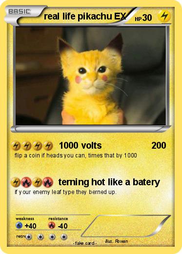 Pokemon real life pikachu EX