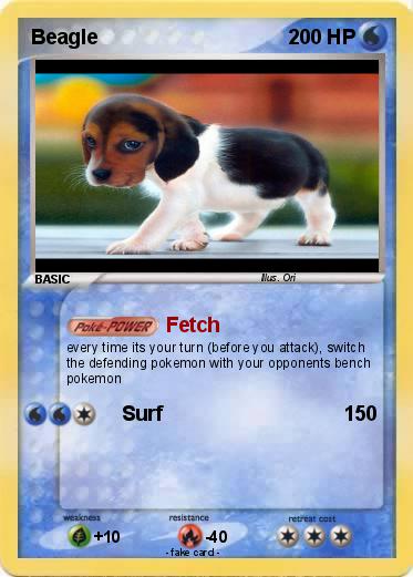Pokemon Beagle