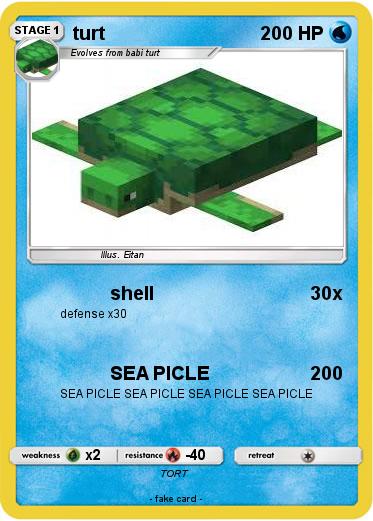 Pokemon turt