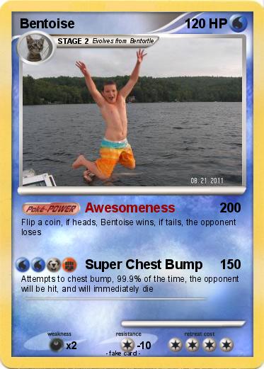 Pokemon Bentoise