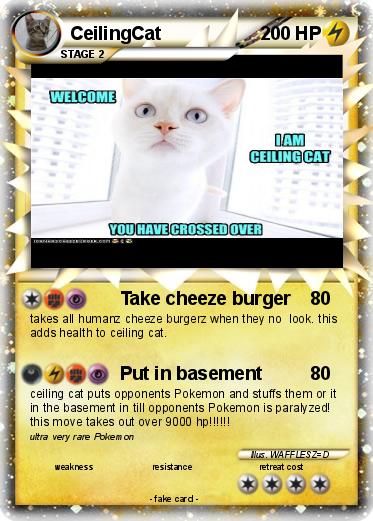 Pokemon CeilingCat