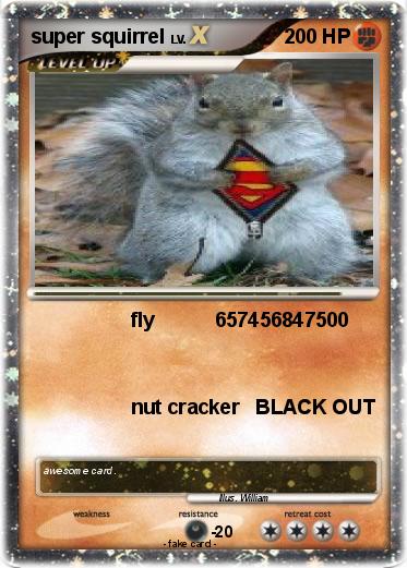 Pokemon super squirrel