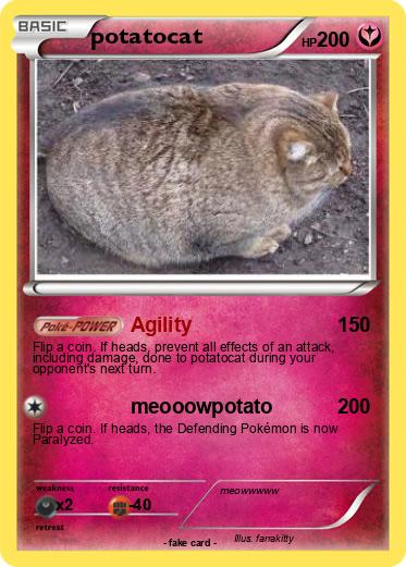 Pokemon potatocat