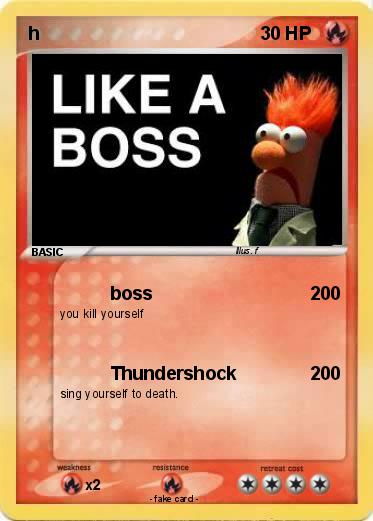 Pokemon h