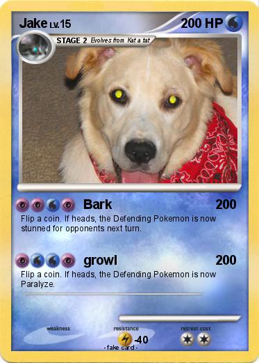 Pokemon Jake