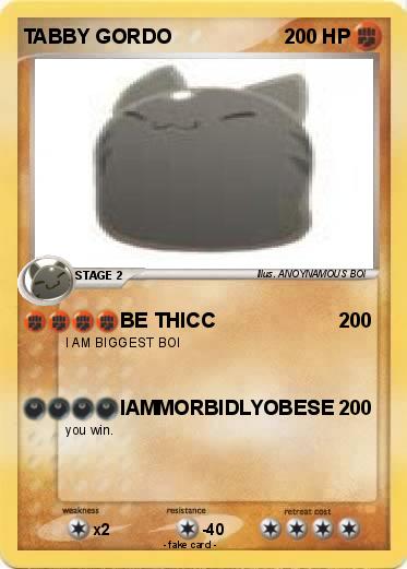 Pokemon TABBY GORDO