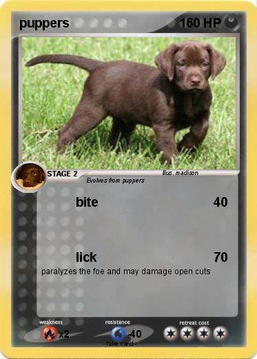 Pokemon puppers