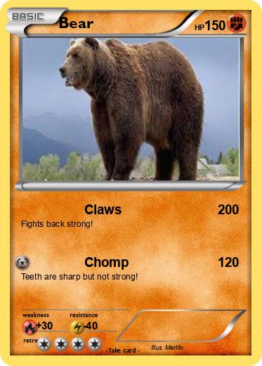Pokemon Bear
