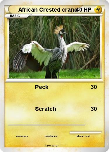 Pokemon African Crested crane