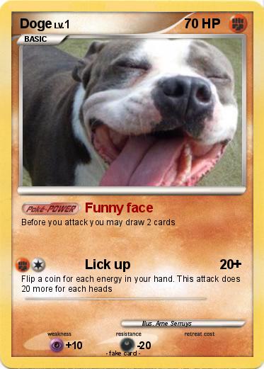 Pokemon Doge