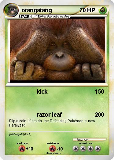 Pokemon orangatang