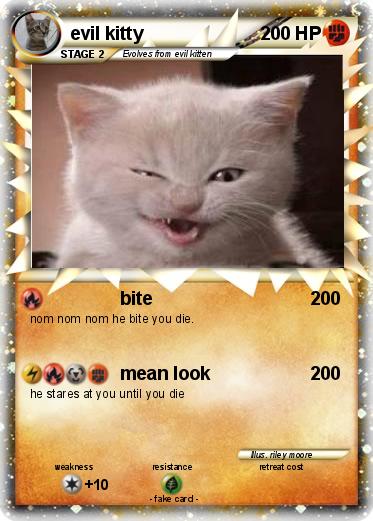 Pokemon evil kitty