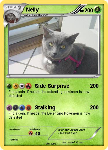 Pokemon Nelly