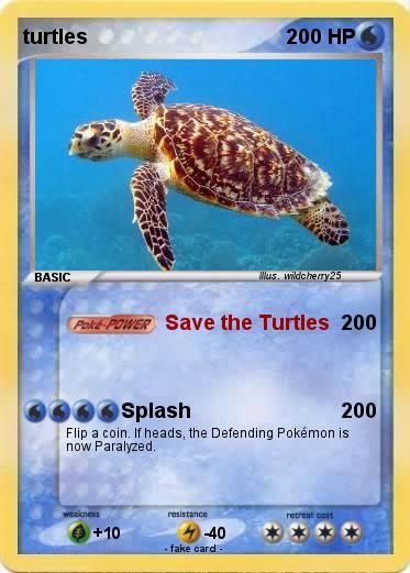 Pokemon turtles