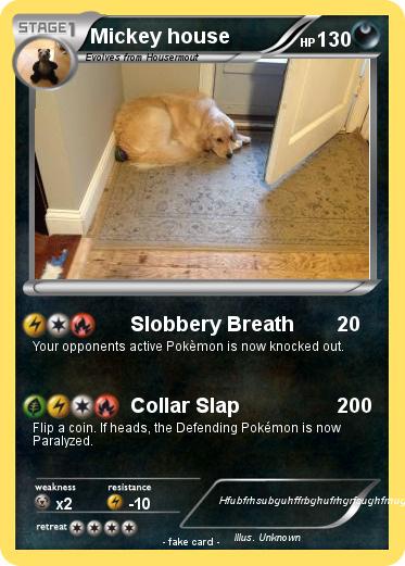 Pokemon Mickey house