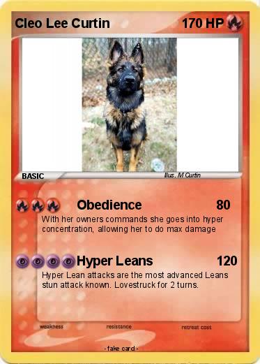 Pokemon Cleo Lee Curtin