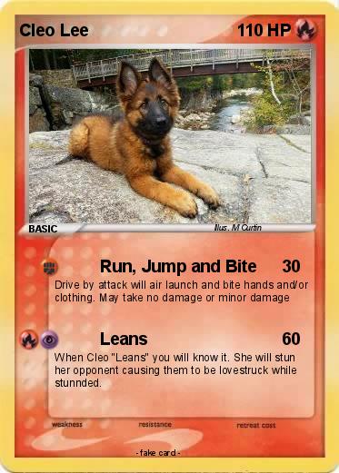 Pokemon Cleo Lee