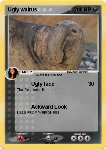 Pokemon Ugly walrus