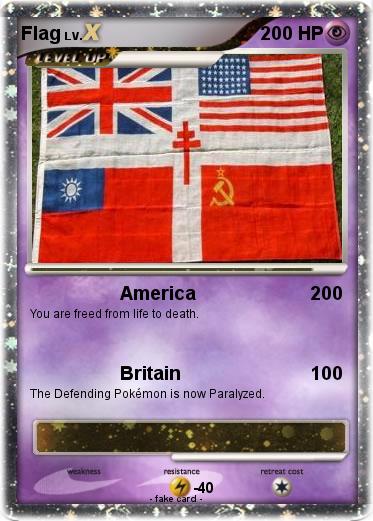 Pokemon Flag