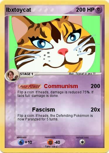 Pokemon Ibxtoycat