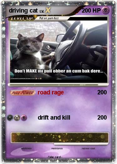 Pokemon driving cat