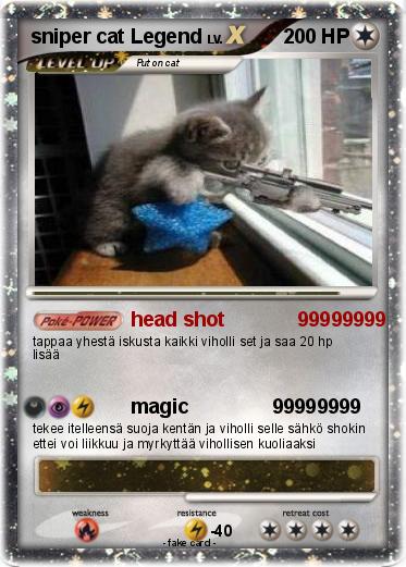 Pokemon sniper cat Legend