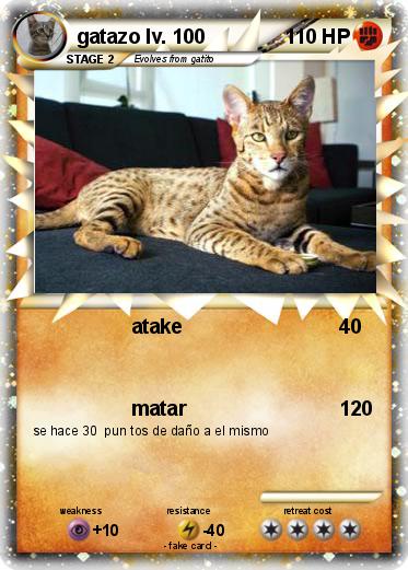 Pokemon gatazo lv. 100