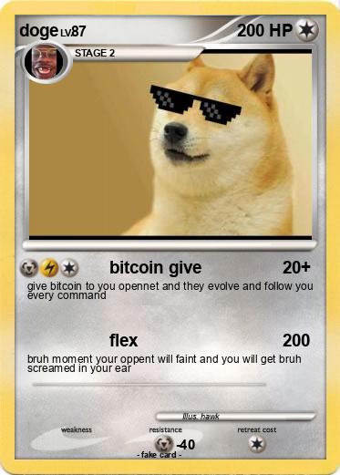 Pokemon doge