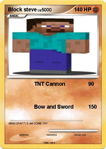 Pokemon Block steve