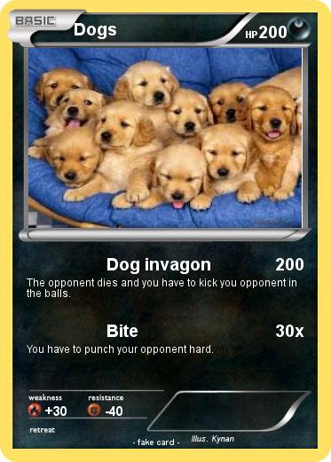Pokemon Dogs