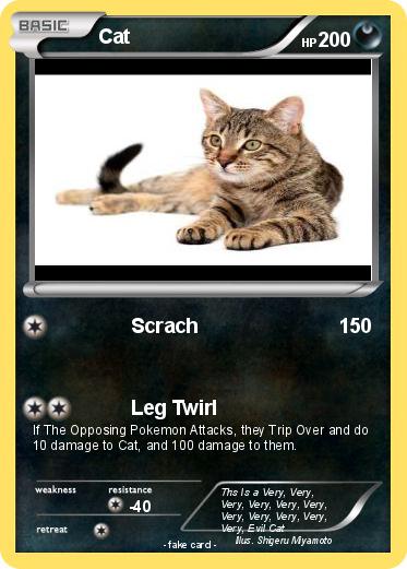 Pokemon Cat