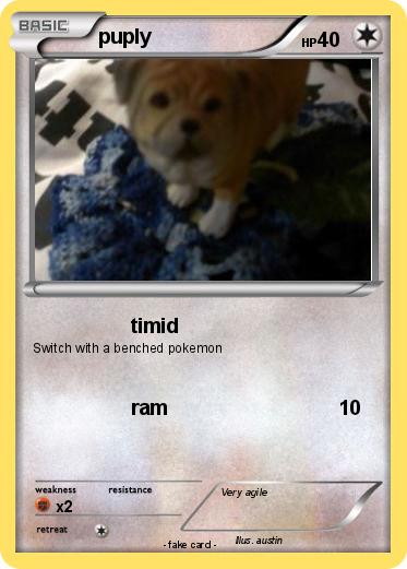 Pokemon puply