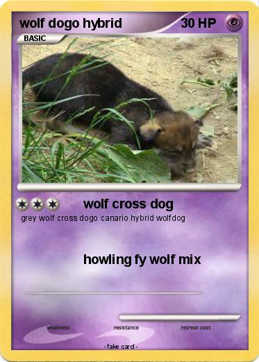 Pokemon wolf dogo hybrid