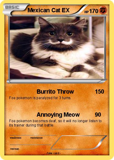 Pokemon Mexican Cat EX